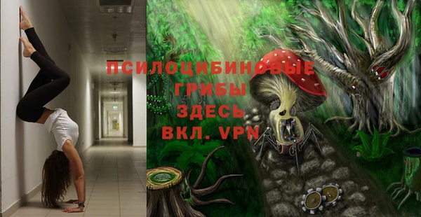 мет Абаза