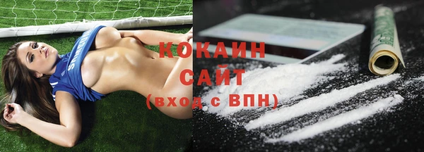 шишки Абинск