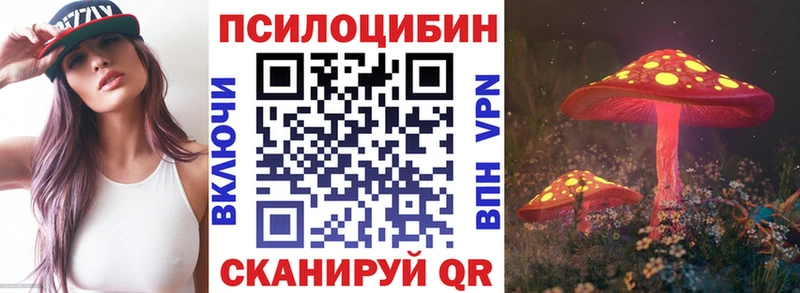 Галлюциногенные грибы Cubensis  Хасавюрт 
