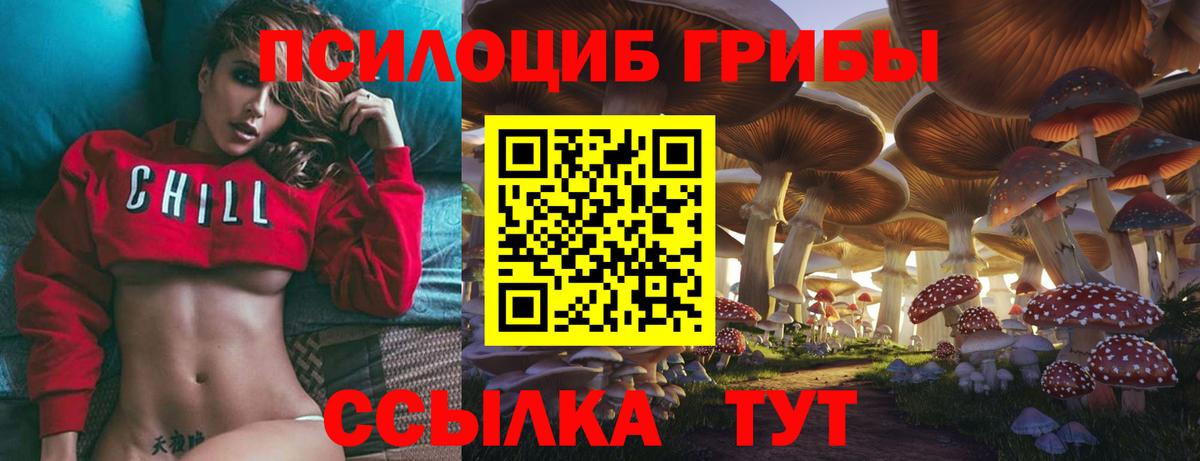 Псилоцибиновые грибы прущие грибы Хасавюрт